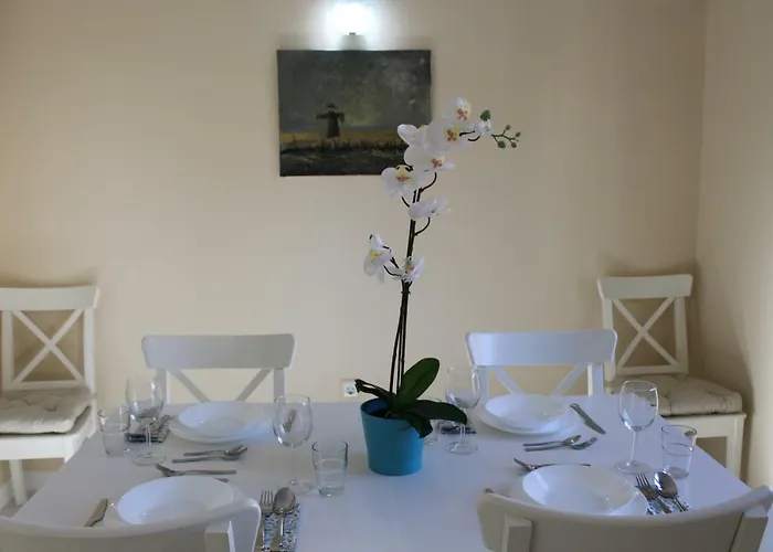 Disfruta A Pie * 莱昂